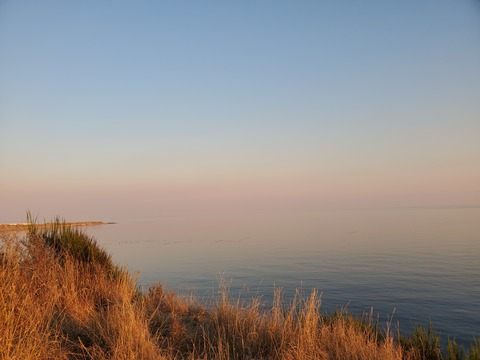 Blank @blankspace2020 cover picture