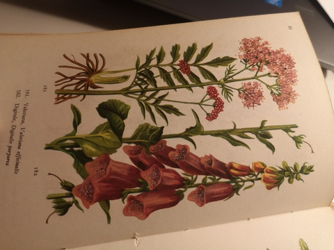 blindfolded @blindfold cover picture