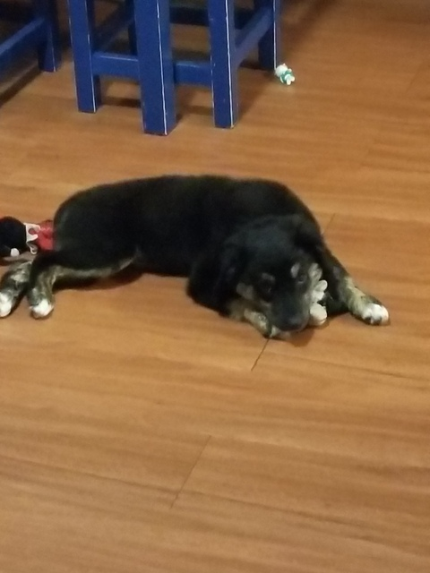 Blond beard @blondbeard cover picture