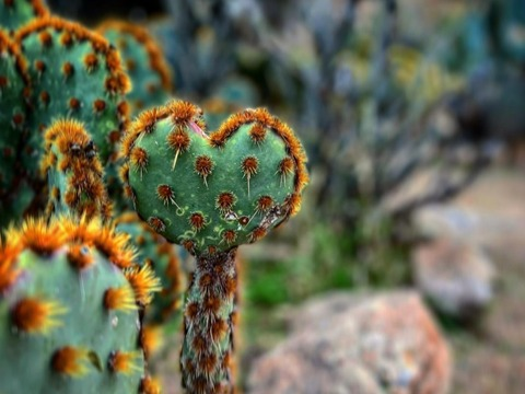 BlondeAdventureGirl @blondeadventuregirl cover picture