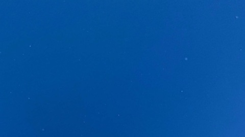 Boo @blondie.boo cover picture