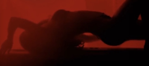 Blossom @blossomivy cover picture