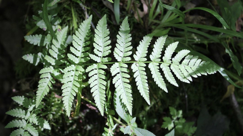 mads @bodyofmadi cover picture