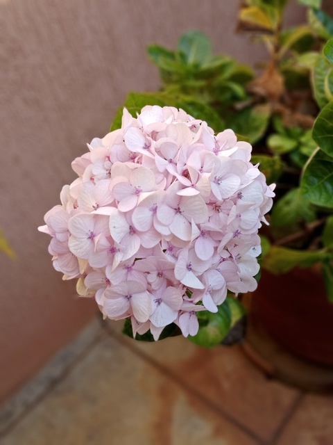 Angie @bogini cover picture