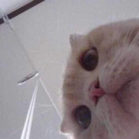 Lone @bone_ cover picture