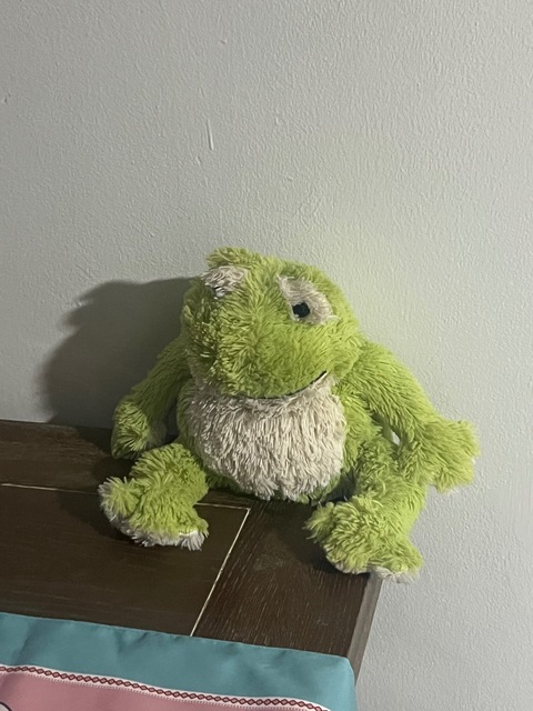 Dana @boobiesaur cover picture