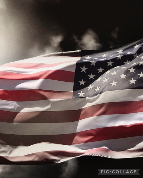 Bow_tie babe @bowtiebabe cover picture