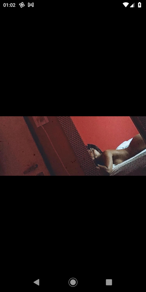 pamela @br_pamela cover picture