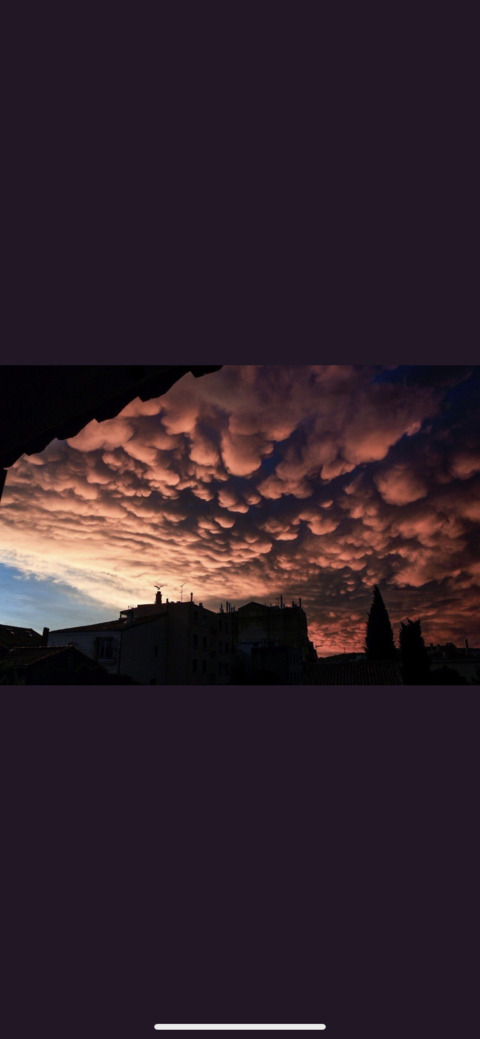 bee @brandon1231 cover picture