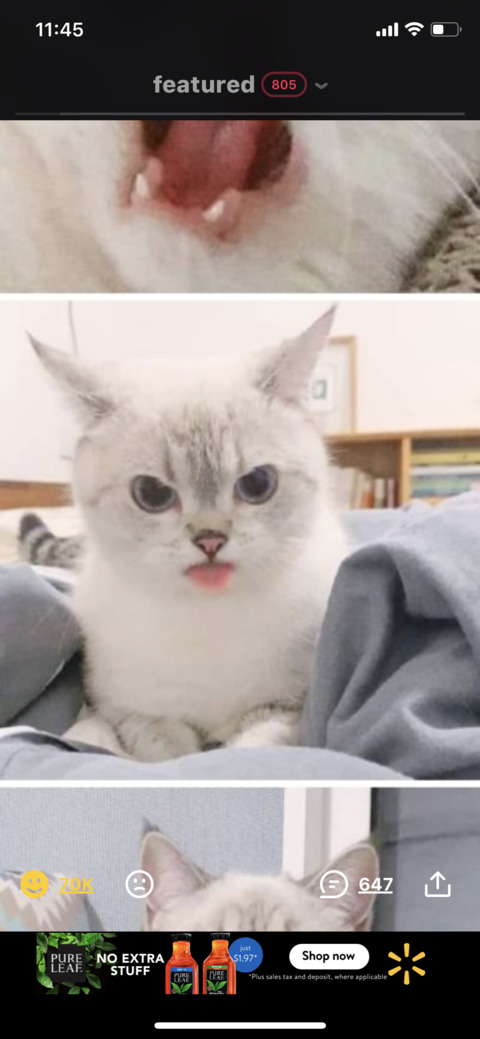 Brandon @brandoncruz cover picture