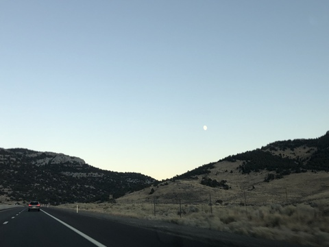 Brando @brandowiththestrappo cover picture