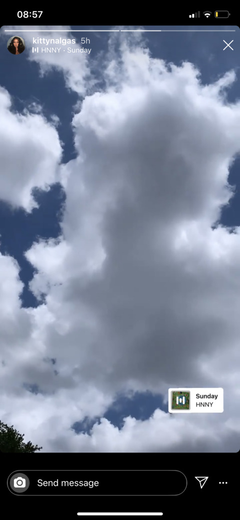 Anna Li @brazilianannali cover picture