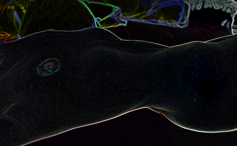 Bree @bree_the_fox cover picture