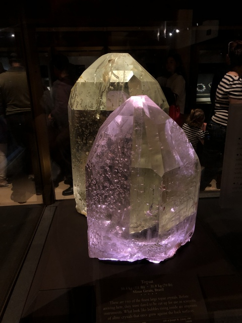 Trxpical.bri @bribaby cover picture