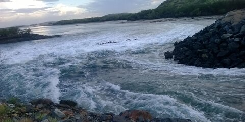 Bridgey @bridgey cover picture