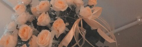 Evita @brilliantevita cover picture