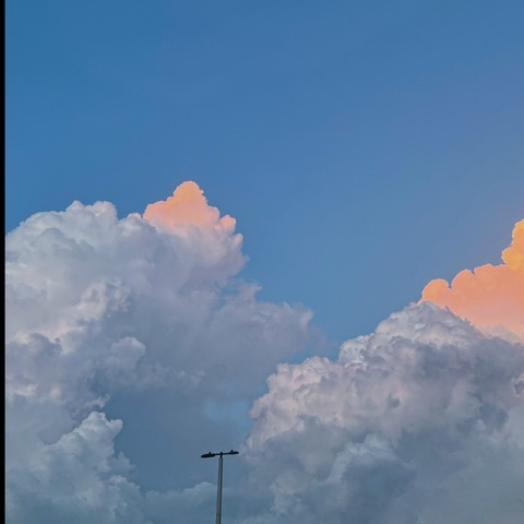 💜 @briluvsyouu cover picture