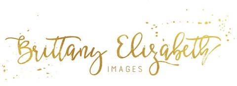 Elizabeth @brittany_elizabeth cover picture