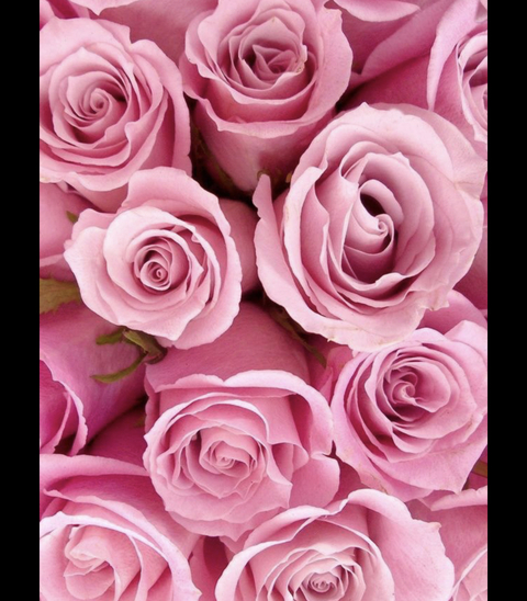 Brittney G @brittneyg01 cover picture