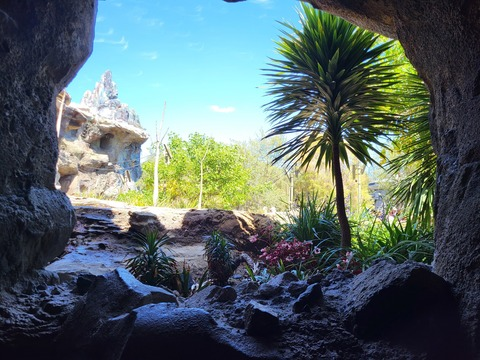 u3037887 @brntwlsn cover picture