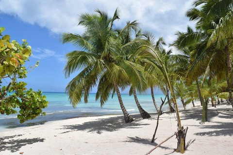 Brody @brodyjett cover picture