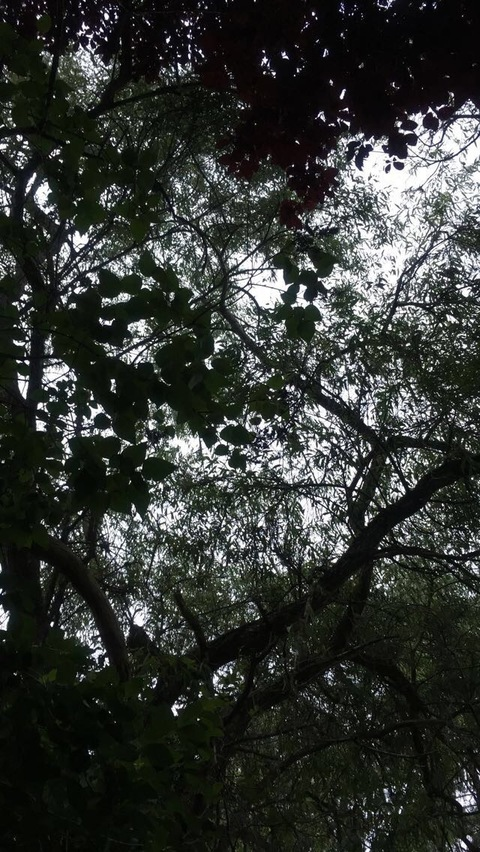 Brooklyn @brooklynbbx cover picture