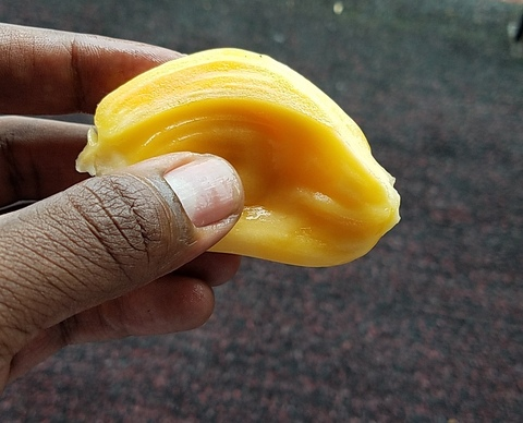 BrooklynX0 @brooklynx0 cover picture