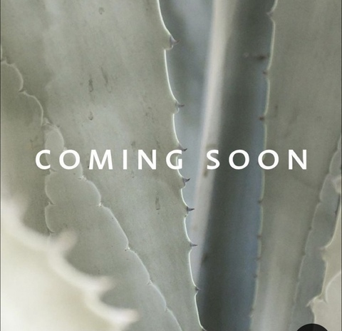 Bj @browniebee cover picture