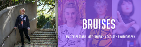 BRUISES @bruises cover picture