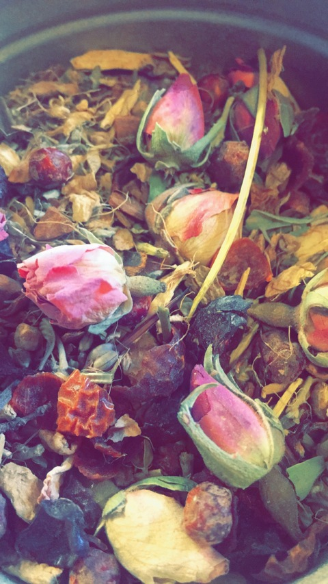 u14583461 @brunette_barbie cover picture