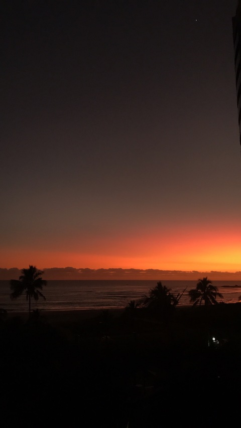 Bryana @bryanawillows cover picture