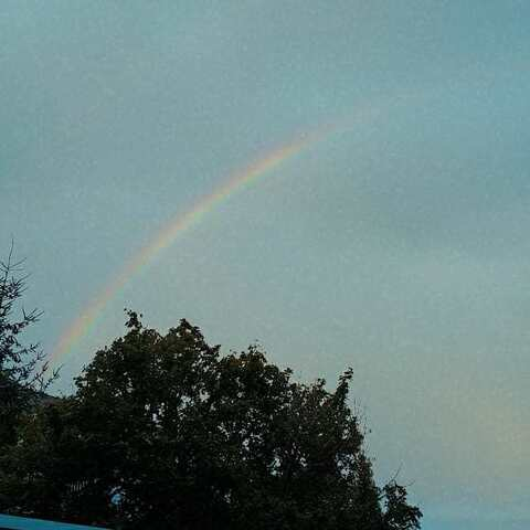 plUSizEKing @bryder cover picture