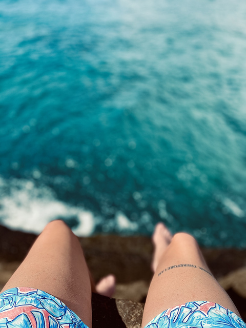 lexi @bse731 cover picture