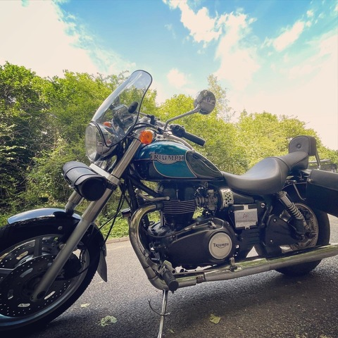 Bucky @bucky cover picture