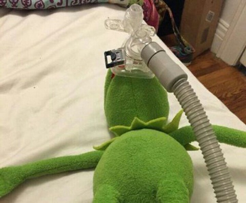 ......? @bulaomeng cover picture