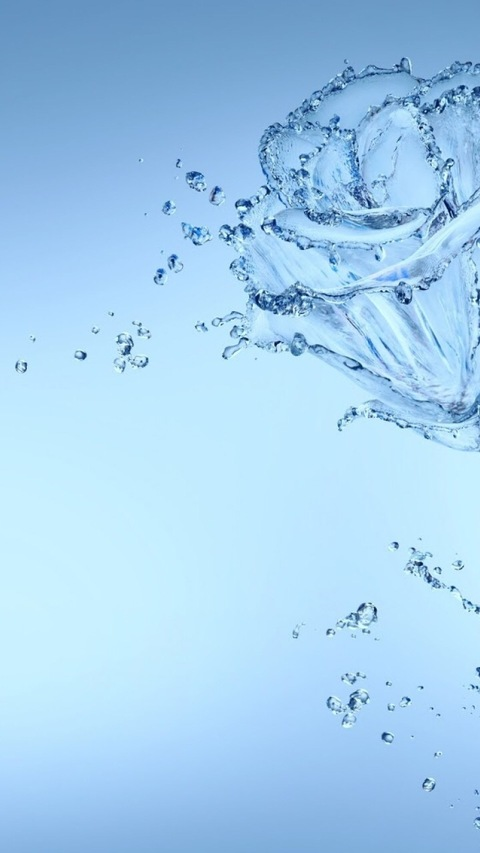 Bull @bull_crixus cover picture