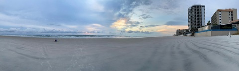 Bumpinbaccas @bumpinbaccas cover picture