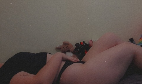 Bunnie @bunniepng cover picture