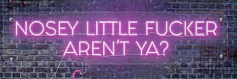 Bunny @bunny_ cover picture