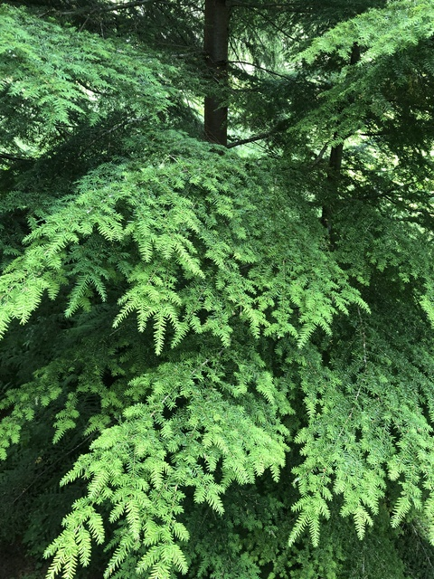 Bunny @bunnybbyxxx cover picture