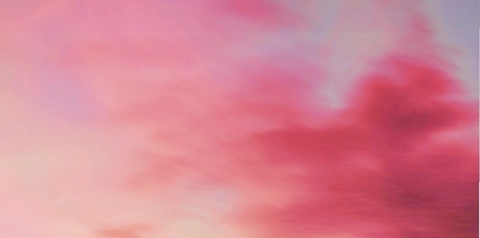 Bunny @bunnyluv69 cover picture