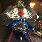 buttercup96 Profile Picture