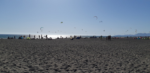 Buz @buz_xo cover picture