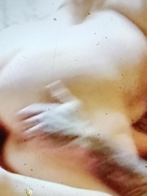 BwC-brent @bwc-brent cover picture