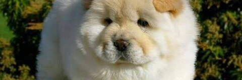 k @bxbyviolet cover picture