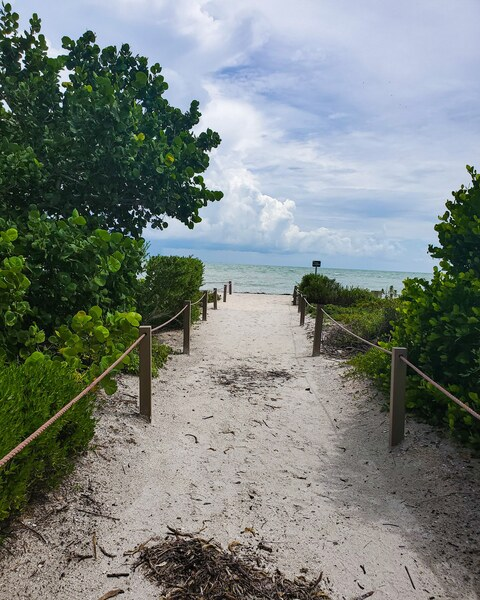 OnlyCalia @calia cover picture