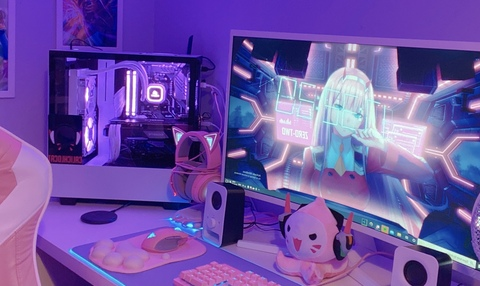 Cali @calichlocat cover picture