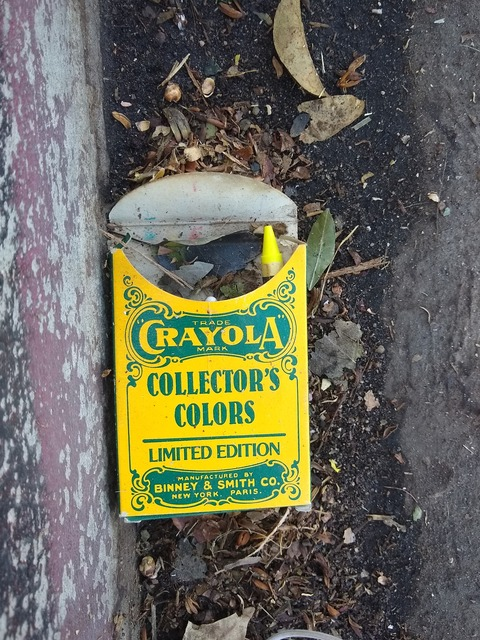 Roy @californian cover picture