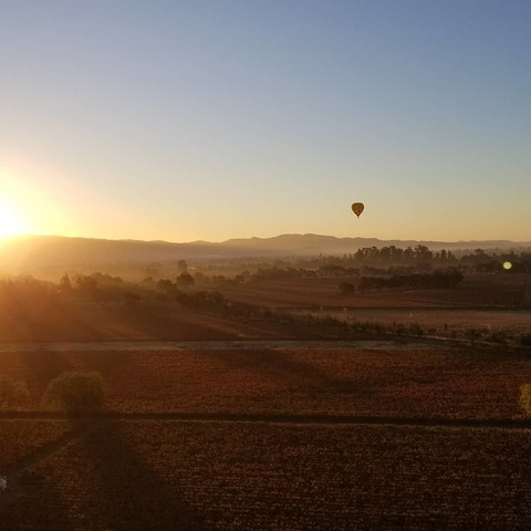 Ant @calisteez cover picture