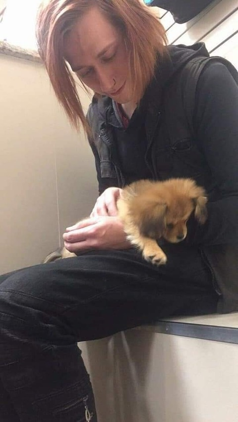 Levi @callmelevi cover picture